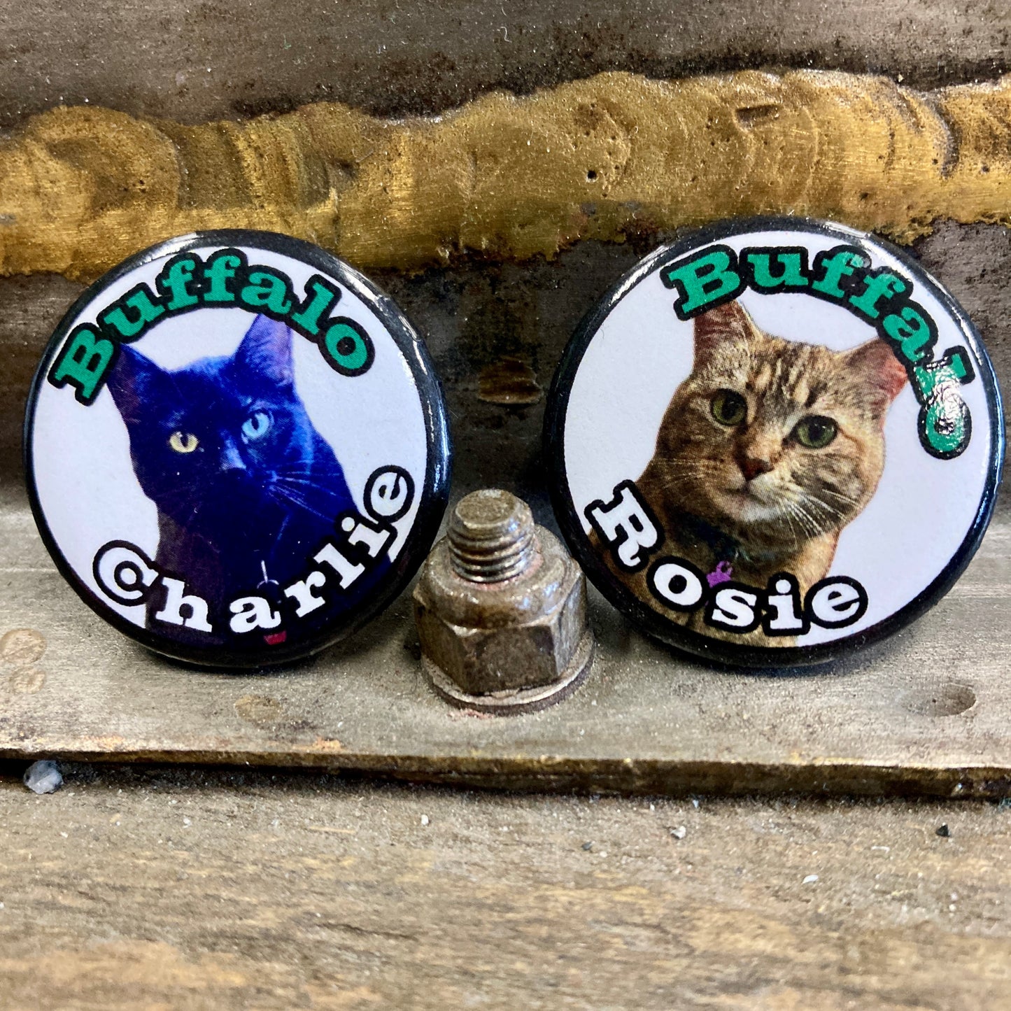 Hangar Cats Button