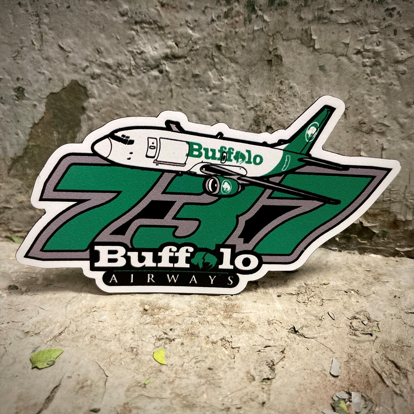 Buffalo 737 Magnet